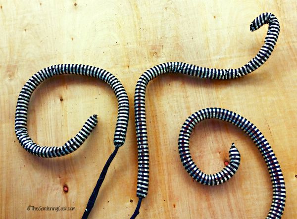 snakes