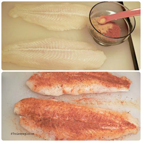 Swai fish with Indian spice rub