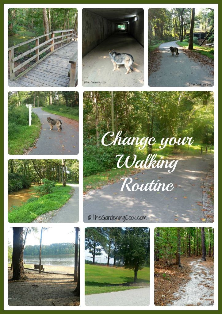 Change your walking routine