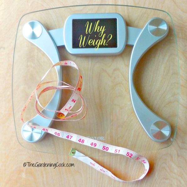 How to Be Accountable – Without the Scales