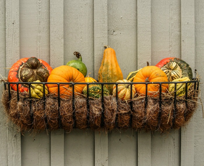 Ornamental gourds and pumpkins in a basket