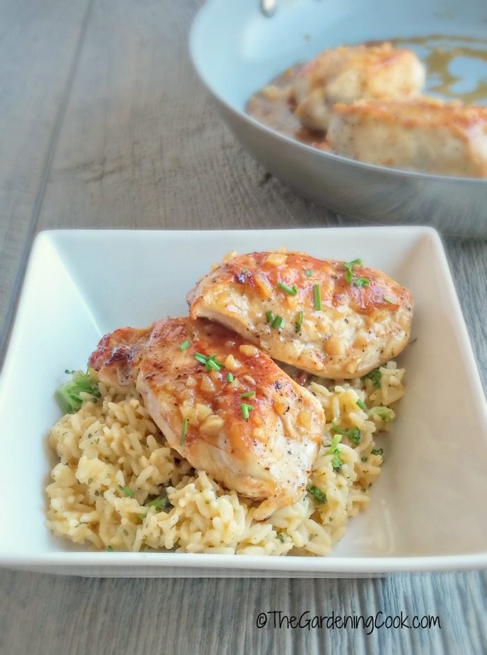 This honey garlic Dijon chicken has the most sublime sauce. It is a bit sweet and not too rich. The recipe comes together in about 15 minutes and tastes amazing! thegardeningcook.com