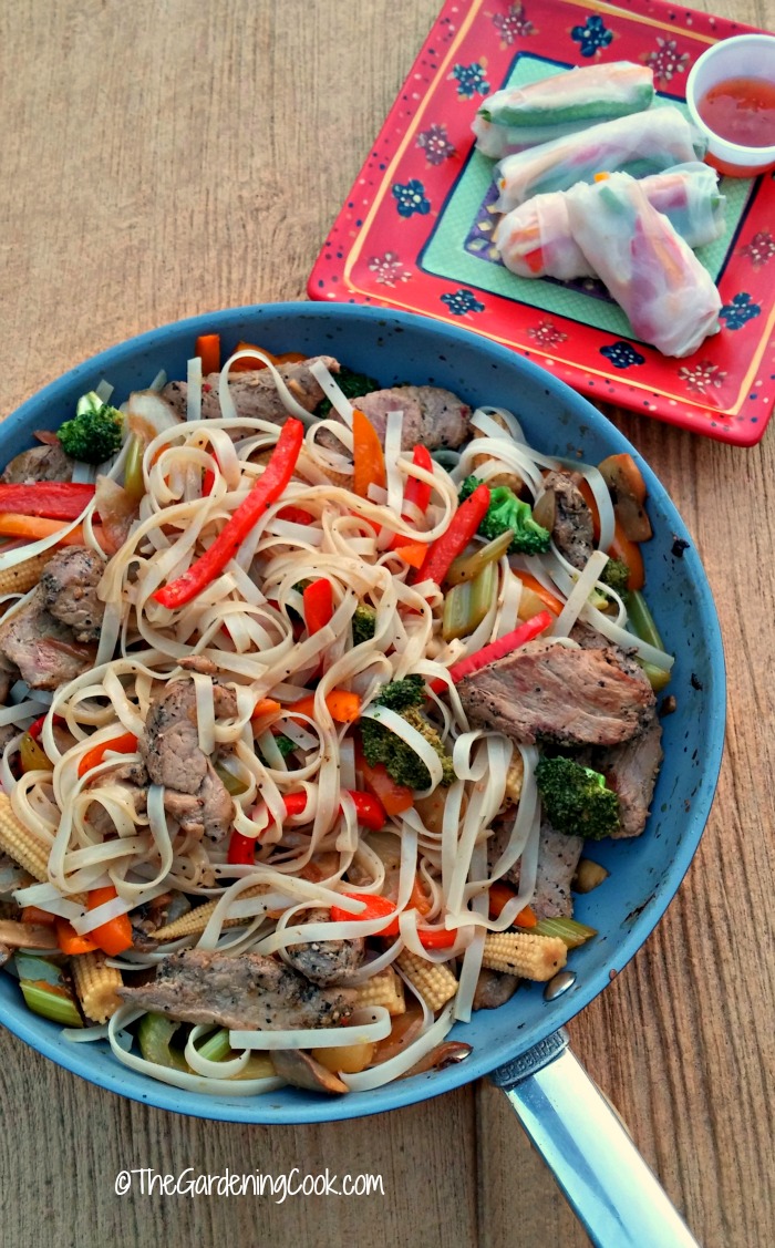 Pork stir fry and vegetable spring rolls