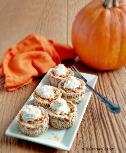 These pumpkin swirl mini cheesecakes are the perfect size for your Thanksgiving guests. They are a delicious blend of cream cheese, pumpkin puree and seasonal spices. thegardeningcook.com