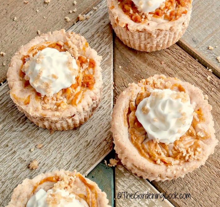 These pumpkin swirl mini cheesecakes are the perfect size for your Thanksgiving guests. They are a delicious blend of cream cheese, pumpkin puree and seasonal spices. thegardeningcook.com