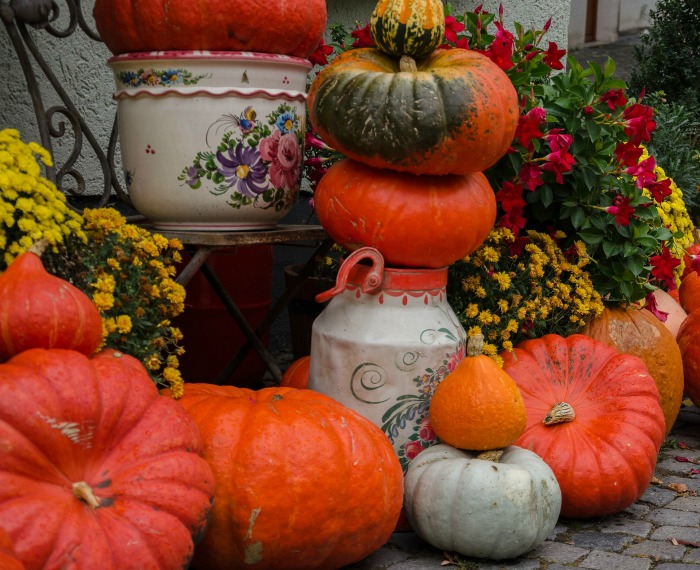 Pumpkins mums and garden planters make and easy fall decoration