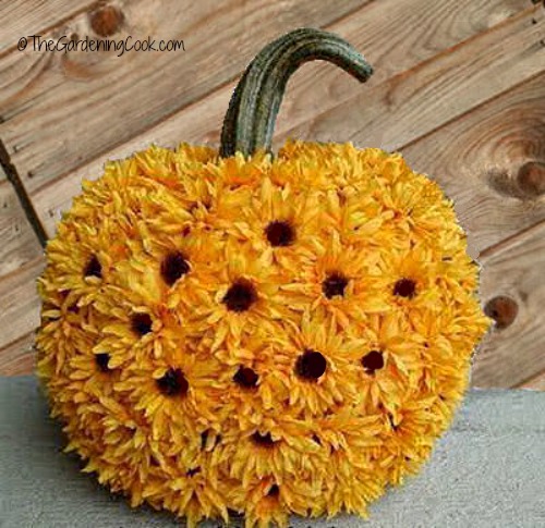Sunflower Pumpkin
