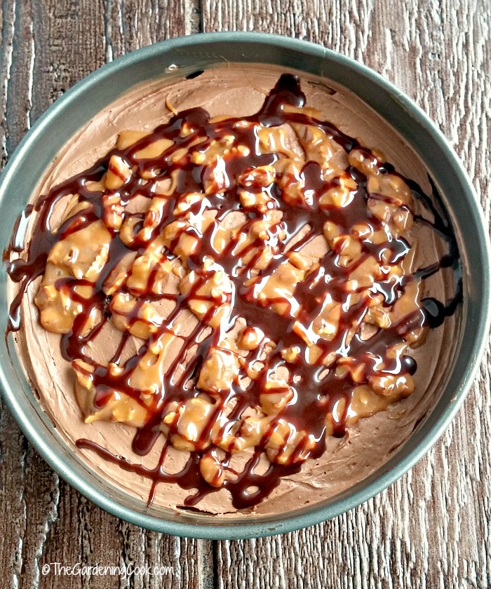Turtle chocolate pumpkin cheesecake in a spring form pan.