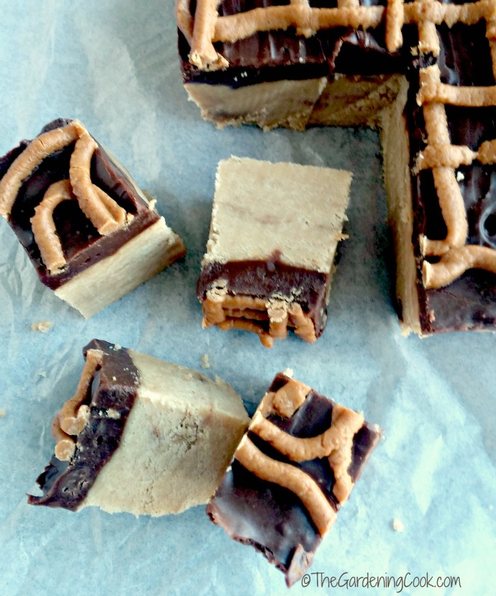 Reese's peanut butter cup fudge cut into squares.