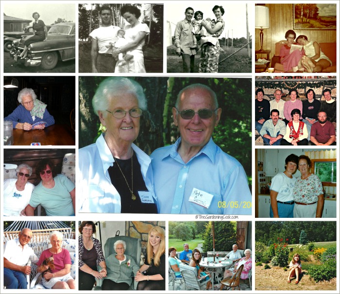 Collage of my life with my mother