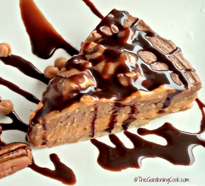 Turtle chocolate pumpkin cheesecake slice.