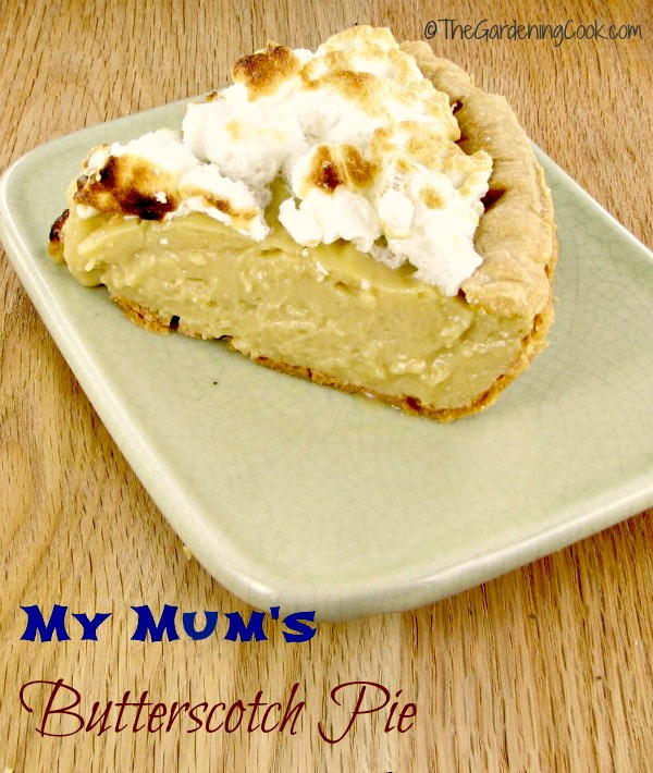 This is my mother's recipe for butterscotch pie. It is a cross between a caramel mousse and a cheesecake. So tasty but not too rich. thegardeningcook.com 
