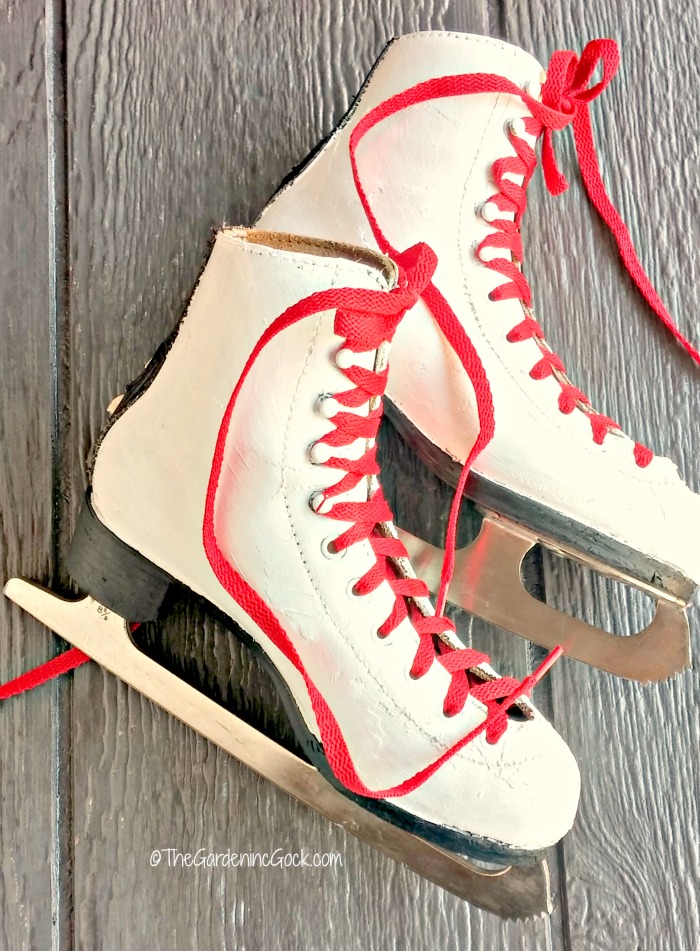 ice skates and red shoe laces