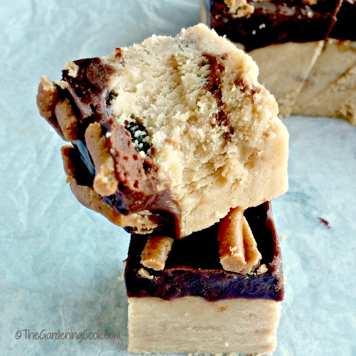 Reese's peanut butter fudge