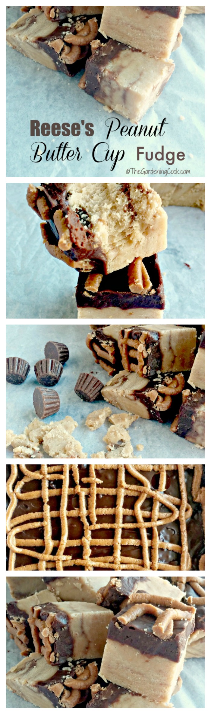 This Reese's peanut butter fudge recipe is OMG delicious and so easy to make. When I say it is fool proof, I really do mean it. thegardeningcook.com