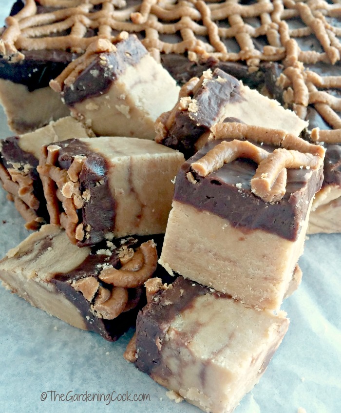 Reese's peanut butter fudge
