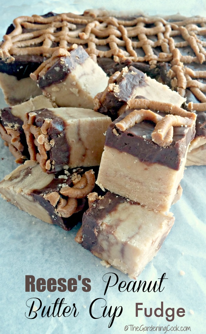 This Reese's peanut butter fudge recipe is OMG delicious and so easy to make. When I say it is fool proof, I really do mean it. thegardeningcook.com 