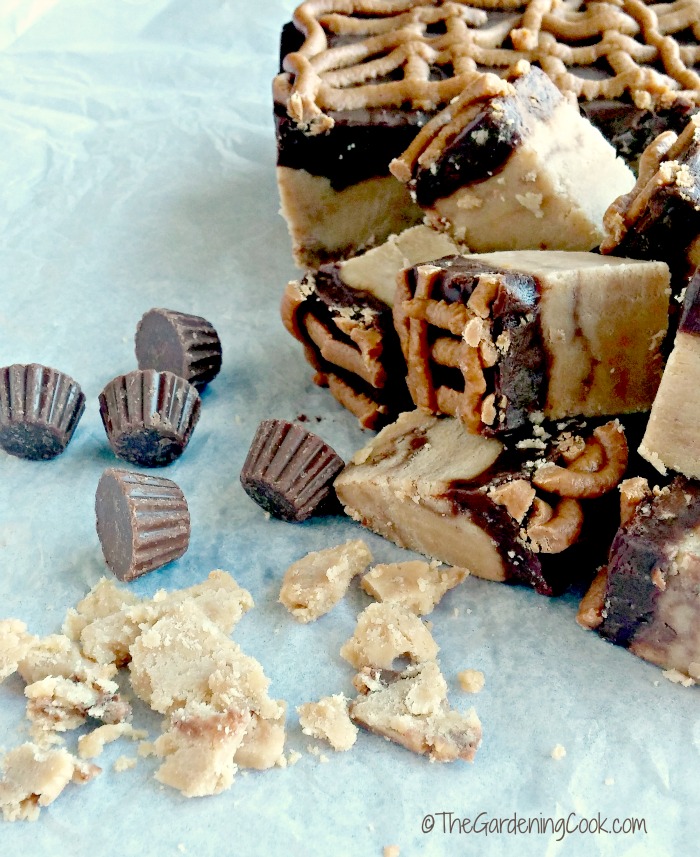 Reese's peanut butter fudge