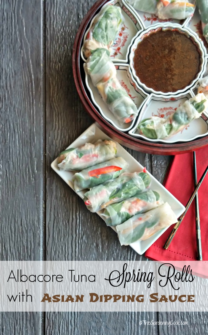 Plate with rice paper rolls and platter of spring rolls with dipping sauce and words reading Albacore Tuna Spring Rolls with An Asian Dipping Sauce.