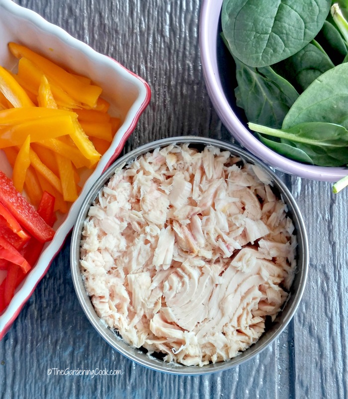 albacore tuna is the ultimate tuna