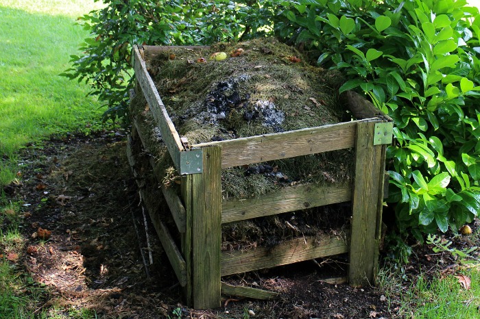 Lawn care tips #6. Compost makes a great lawn fertilizer