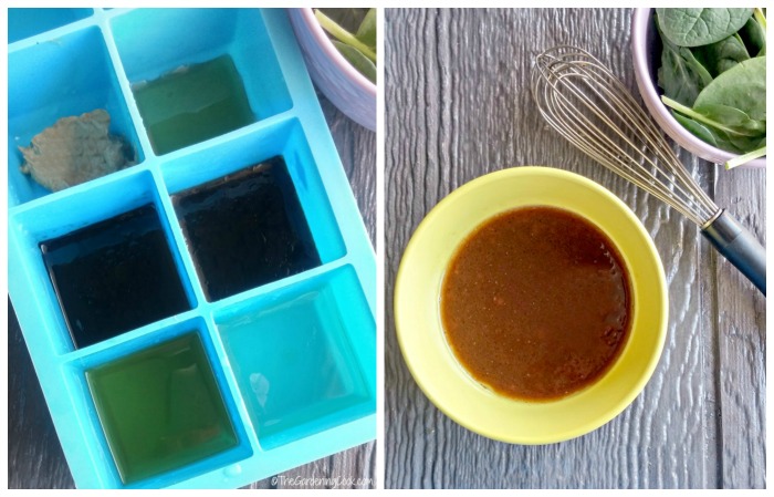 Dipping sauce for Albacore tuna rice paper spring rolls
