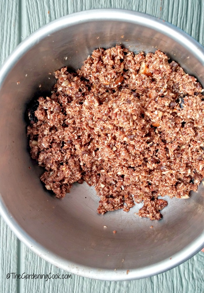 Paleo energy bite mixture
