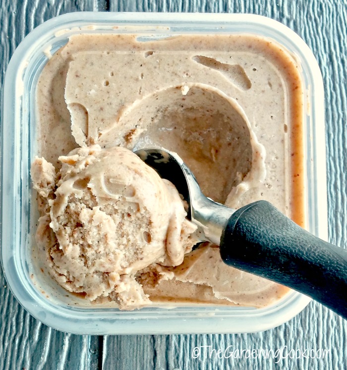 Paleo Nutella Banana Ice Cream