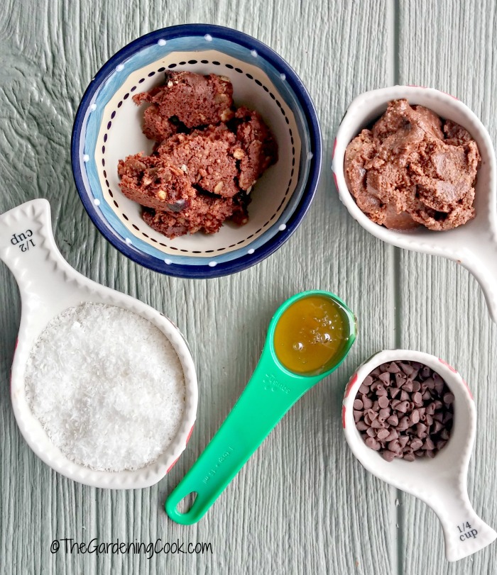 Ingredients for Paleo energy bites