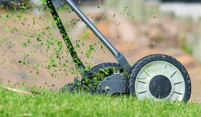 Lawn care tips #9 Be sure to mow often enough