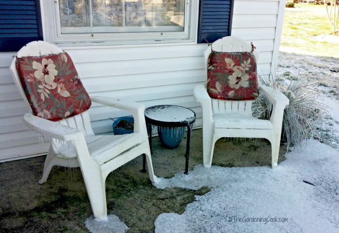 Waiting for spring in North Carolina