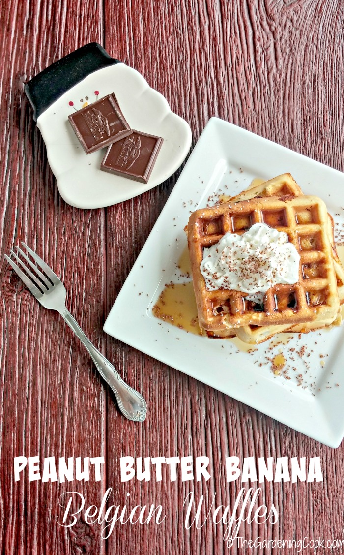 These peanut butter banana Belgian Waffles are the perfect start to a leisurely weekend. thegardeningcook.com