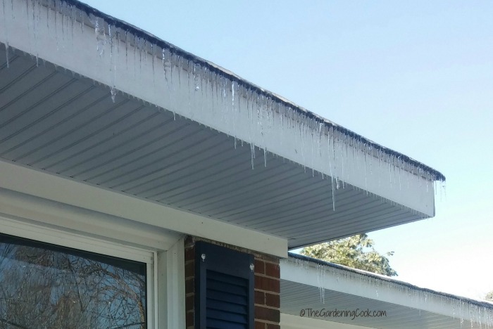Icicles on the roof are not too common in North Carolina