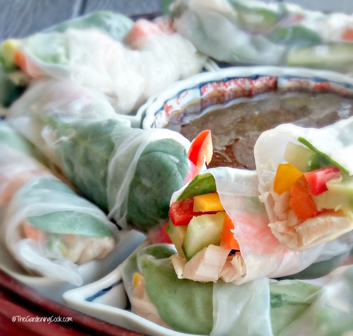 Close up of Albacore tuna rice paper spring rolls