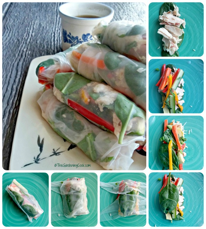 How to make Albacore tuna rice paper spring rolls