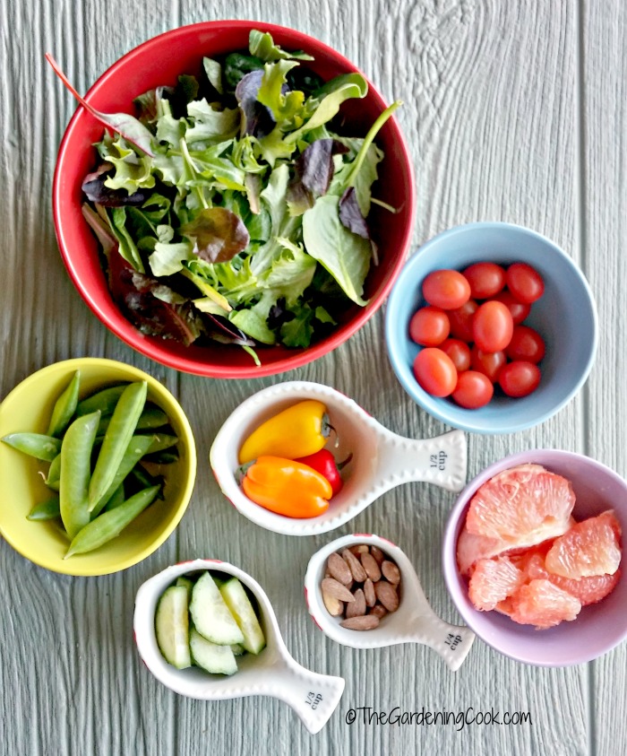 salad ingredients
