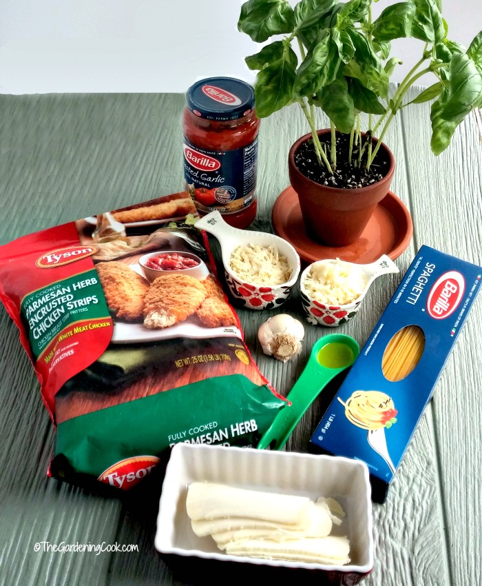 Ingredients for easy Parmesan chicken