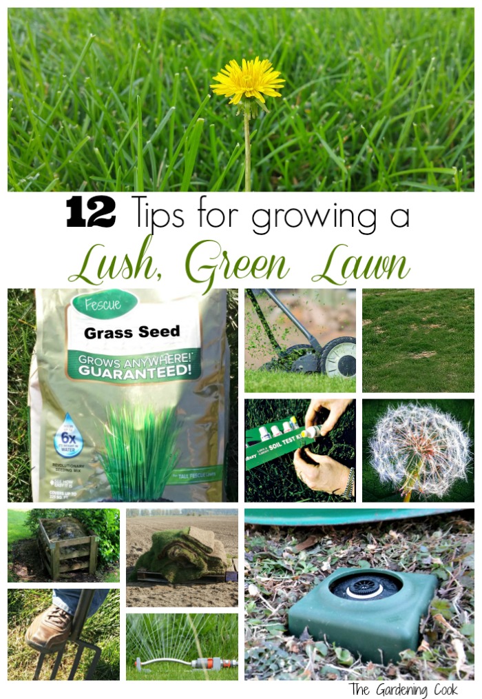 dandelion, lawnmower, grass seed, testing kit, compost bed in a collage with words reading 12 Tips for Growing a Lush, Green Lawn..