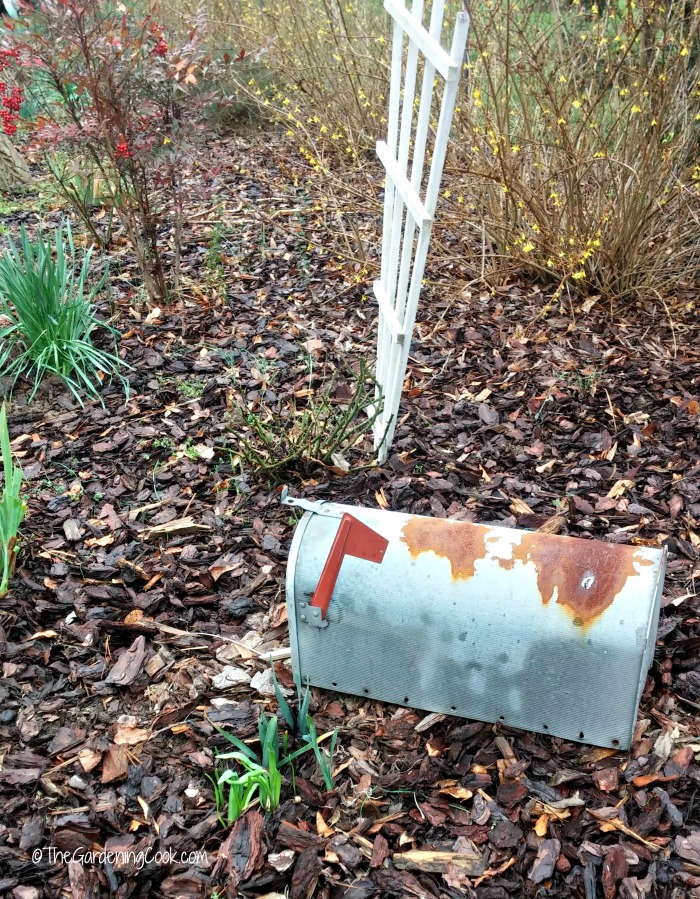 This mail box will hold my garden tools and look decorative when it is renovated.