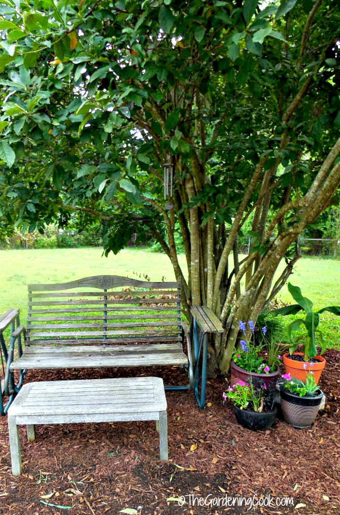 This seating area will get a fresh coat of paint this spring.