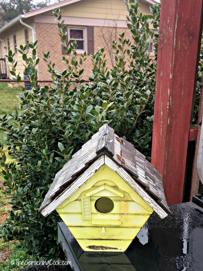 Inspect bird houses in the early spring.