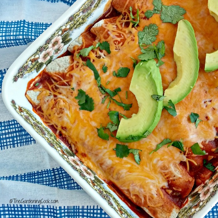 skinny ground turkey enchiladas ready to serve