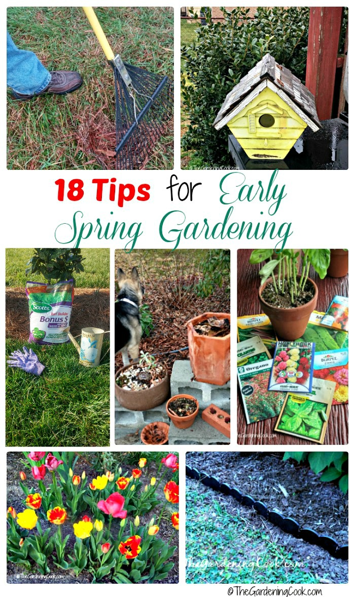 Collage with rake, bird house, lawn care, pots, seeds and flowers and words reading 18 Tips for Early Spring Gardening.