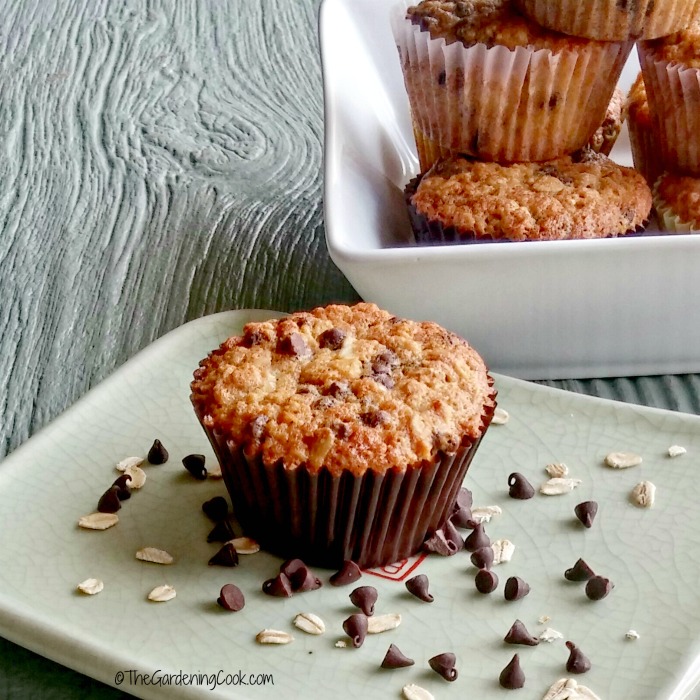 Chocolate Chip Oatmeal Muffins