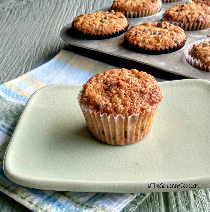 chocolate chip oatmeal muffins