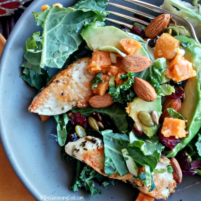 close up of roasted yam salad with seasoned chicken