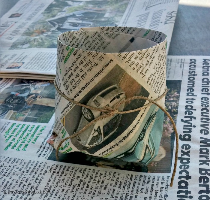 Tie the jute around the pot