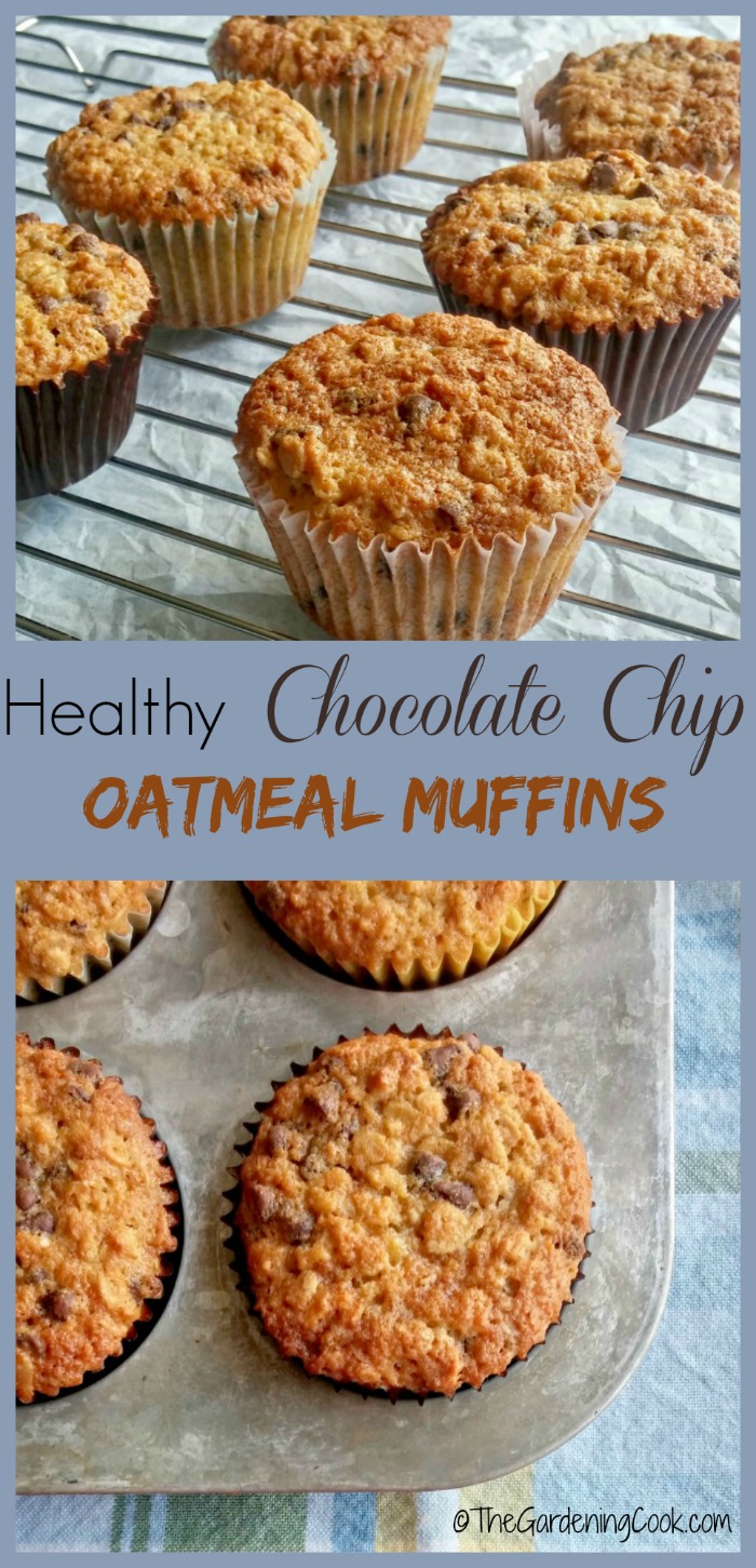 Healthy chocolate chip oatmeal muffins