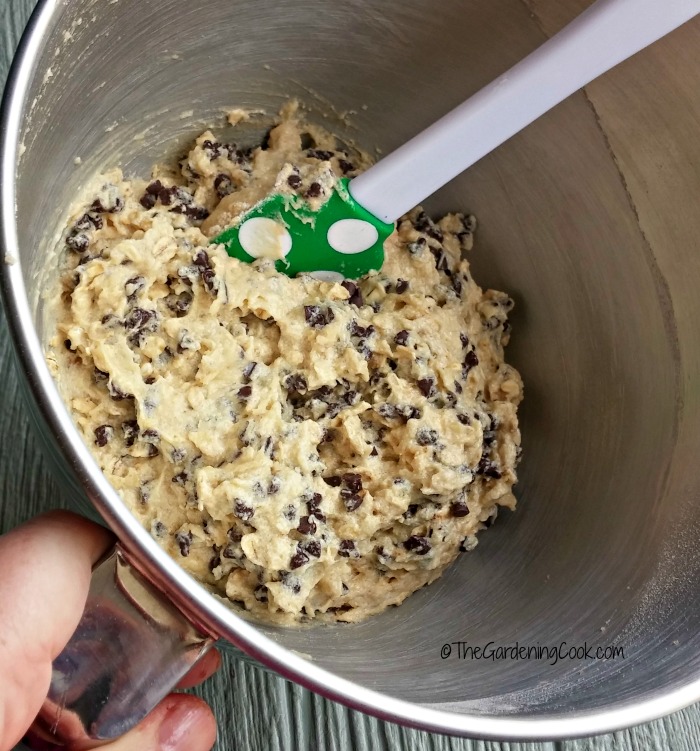 batter for chocolate chip oatmeal muffins