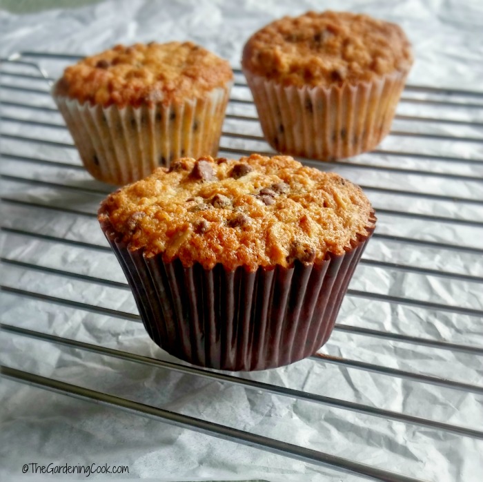 chocolate chip oatmeal muffins